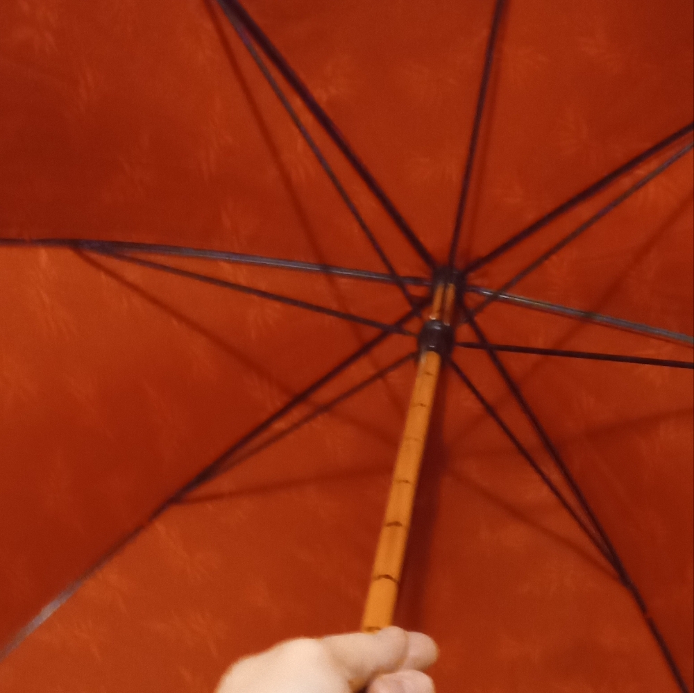 Umbrella - Picture 6 of 6